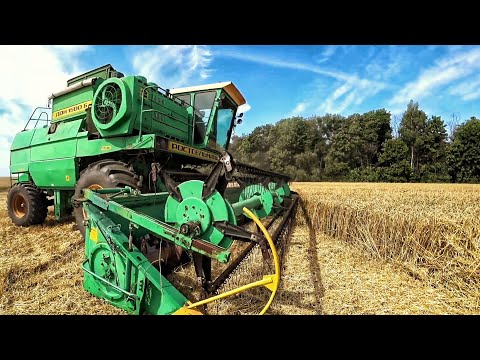 Видео: Harvest 2020 in Russia. Уборочная 2020 Дон 1500Б