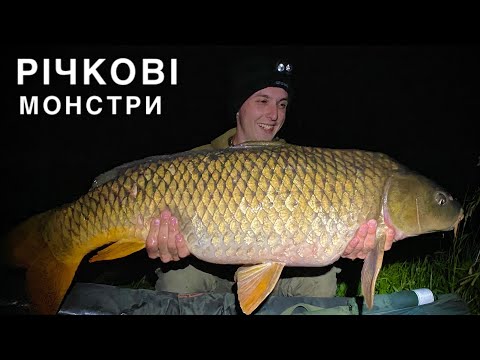 Видео: Рибалка на сазанів монстрів. Що не риба, то трофей. Впіймали рекорд цього сезону. Частина 1