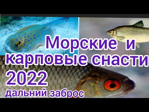 Видео: Карповые и морские оснастки 2022, дальнего заброса, донная снасть на карпа,пеленгаса, карася