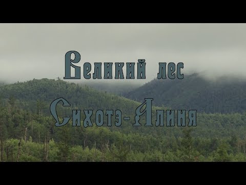 Видео: Великий лес Сихотэ-Алиня