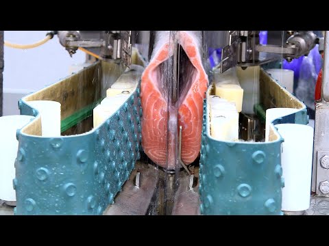 Видео: Крупнейший в мире поставщик норвежского лосося управляет рыбоперерабатывающим заводом на Тайване.
