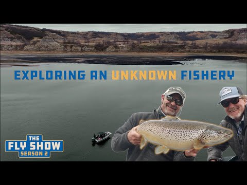 Видео: Исследовательская миссия в поисках гигантских коричневых (Муховое шоу с Келли Гэллоуп, сезон 2, с...