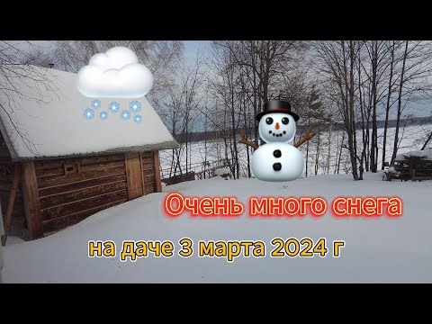 Видео: Съездили на дачу - очень много снега 3 марта 2024 г