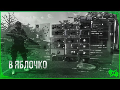 Видео: The Division 2 / Самая точная кобура