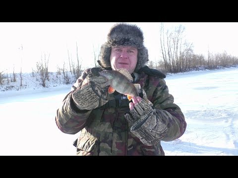Видео: Ловля окуня зимой на блесну " ВАУЧЕР ". Первый лёд 2017-18 на реке