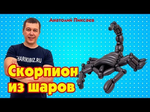 Видео: Скорпион из шаров