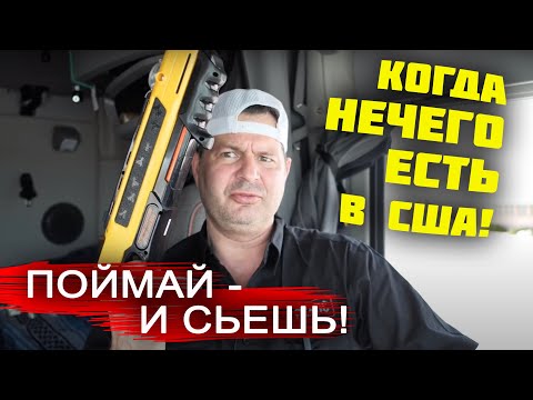 Видео: КОГДА НЕТ ЕДЫ в США! БОРЮСЬ С ВРАГОМ в ТРАКЕ! Выживаю на диком ЗАПАДЕ. В чем ПРОБЛЕМА РАБОТЫ в США?