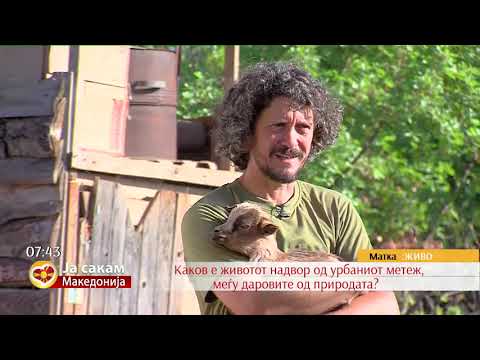 Видео: Семејството Саити избега од Скопје и си направи фарма на Матка
