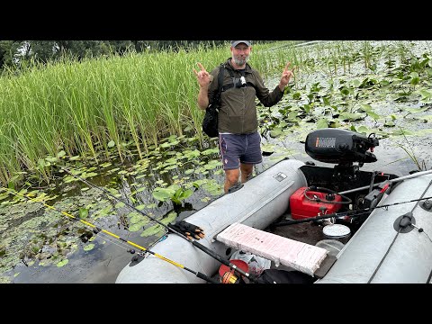 Видео: Рыбалка на сома 2024. Ловля сома на квок.
