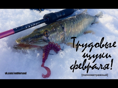 Видео: Джиг-спиннинг на зимней реке. Приманки для пассивной щуки. Видео отчет от 11 февраля 2017.