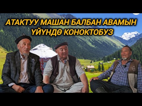 Видео: Ала-Бука районубуздун атактуу ак сакал балбандары чапкан аргымактарын санап берди 🇰🇬