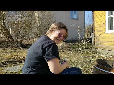 Видео: Начало сезона 2025!