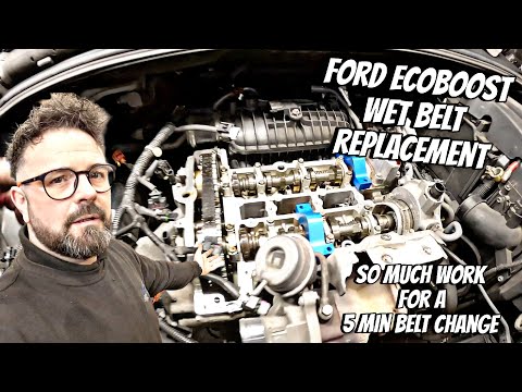 Видео: Замена мокрого ремня Ford Focus/Fiesta 1.0 EcoBoost... такая трудоемкая работа...