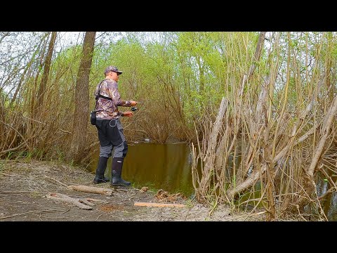 Видео: Мормышинг в ручье ПОВЕРГ МЕНЯ В ШОК .. отобрала дважды!! рыбалка 2024 весной