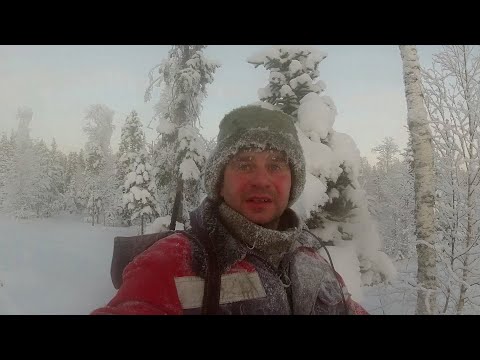 Видео: ОХОТА НА ЛОСЯ В -35 БЫСТРО ЗАМЕРЗЛИ СОПЛИ В НОСУ...