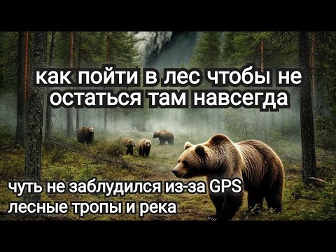 Видео: Чуть не заблудился/Исследую лесные тропы и речку/Лесные опасности/Походы 28 и 29 июля 2025 года