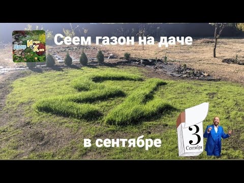 Видео: Как мы сеяли газон осенью