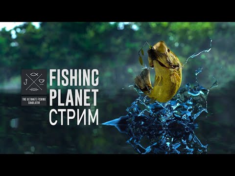 Видео: Рыбалка Fishing Planet The Fisherman #gaming #fishing #рыбалка #стрим