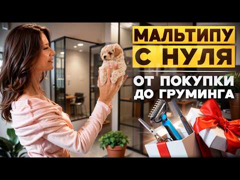 Видео: Как выбрать заводчика, ухаживать за щенком и правильно кормить собаку?