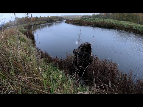 Видео: РЫБАЛКА С НОЧЁВКОЙ НА ХИЩНИКА!!!