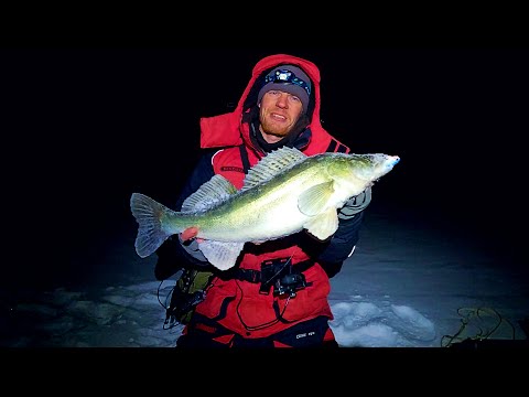 Видео: ПОТРЯСАЮЩИЙ опыт ЗИМНЕГО рыболовного фестиваля в КАЗАНИ/НОЧНОЙ СУДАК на ВОЛГЕ