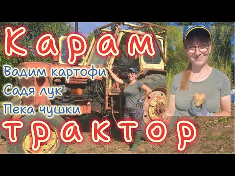 Видео: Карам трактор на полето