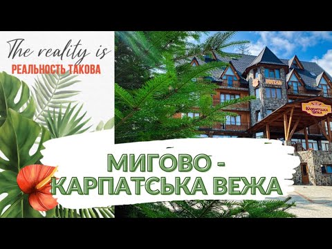 Видео: Відпочинок в Карпатах. Мигово - Карпатська Вежа - відгук
