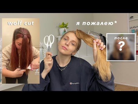 Видео: стригу волосы по тик току дома / маллет / wolf cut