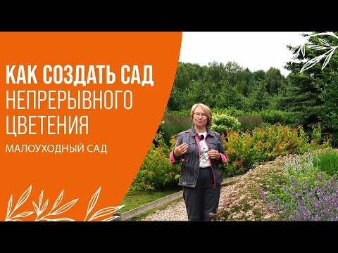 Видео: КАК СОЗДАТЬ САД НЕПРЕРЫВНОГО ЦВЕТЕНИЯ | МАЛОУХОДНЫЙ САД