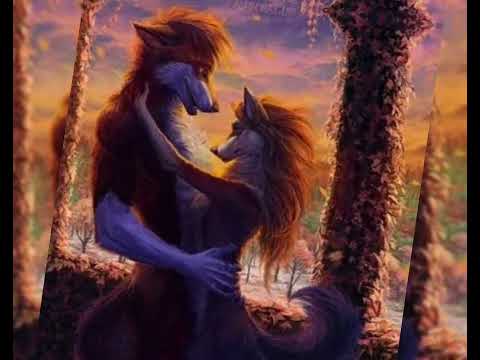 Видео: Фурри пары под песню"Между нами любовь" Автор"Serebro"