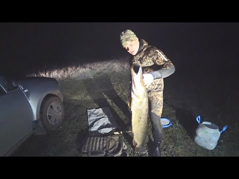 Видео: Она меня тащила!!! Выловил щуку монстра на 11 кг. Трофей на подводной охоте.