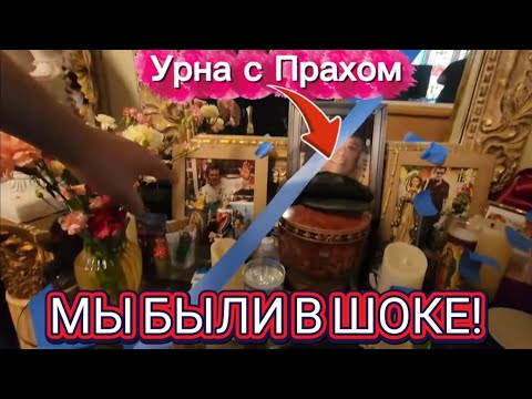 Видео: ❤️‍🔥Такого Конечно Никто не Ожидал