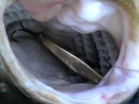 Видео: [Школа рыболова] - Жерех (часть 9)