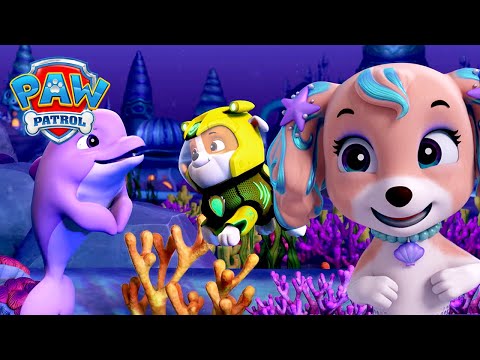 Видео: На старт, готови, старт! Aqua Pups тичат към финала! 🏁🐾 | PAW Patrol Bulgarian
