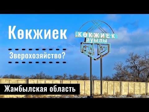 Видео: Зверохозяйство | Село Кокжиек, Шуский район, Жамбылская область, Казахстан, 2025 год.