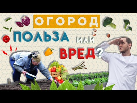 Видео: Огород – это полезно! | Как огород вредит пожилым людям | Доктор Епифанов