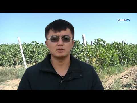 Видео: 11.08.2022. ЖЕТІСАЙ АУДАНЫ. ИНФРОҚҰРЫЛЫМ, АУЫЛ ШАРУАШЫЛЫҚ
