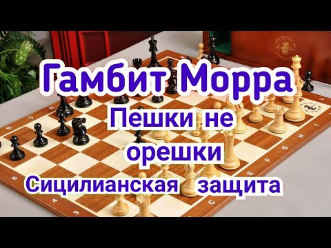 Видео: 23) Лекция. Гамбит Морра.  Сицилианская защита. Пешки не орешки !