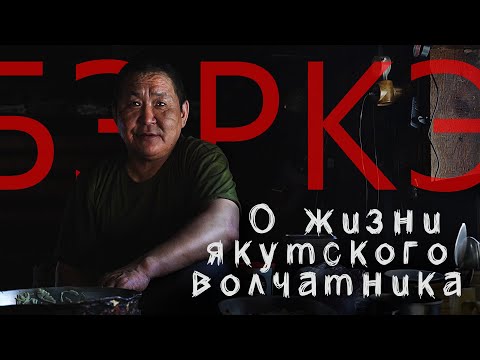 Видео: О жизни якутского волчатника.