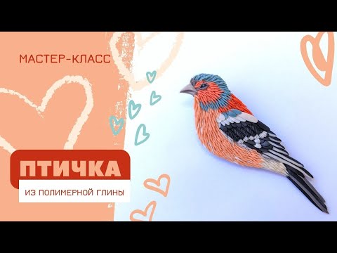 Видео: МК Птичка зяблик из полимерной глины