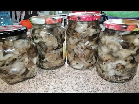 Видео: Маринованные опята. Самый удачный рецепт маринада. Проще простого.