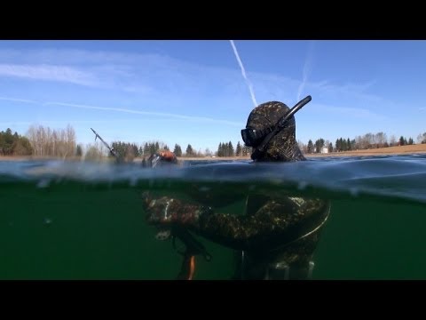 Видео: Задержка Дыхания в Подводной Охоте. Spearfishing. Pesca in apnea