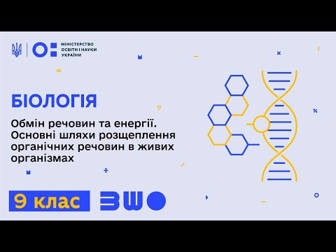 Видео: 9 клас. Біологія. Обмін речовин та енергії. Основні шляхи розщеплення органічних речовин