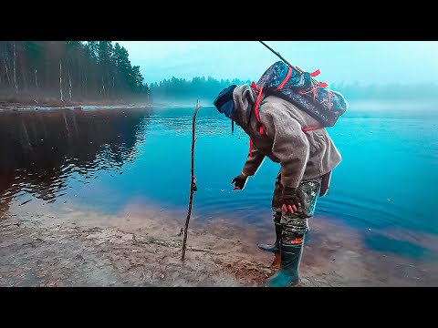 Видео: ПОСТАВИЛ ДОНКИ НА НАЛИМА И ПОЙМАЛ ЭТО. РЫБАЛКА НА НАЛИМА. ЛОВИМ НАЛИМА НА РЕКЕ. ДОНКИ НА НАЛИМА