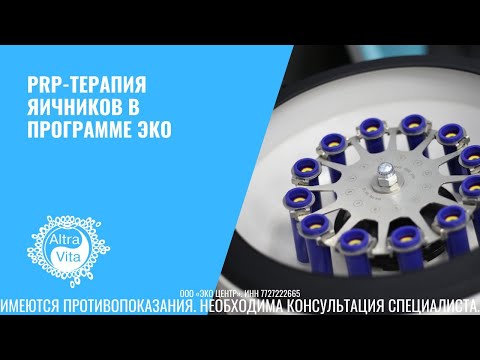 Видео: PRP-терапия яичников в программе ЭКО