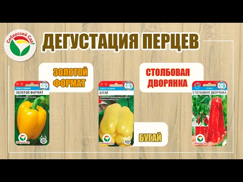Видео: Дегустация перцев-гигантов
