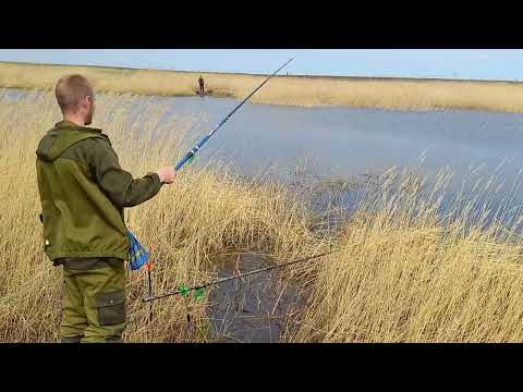 Видео: Рыба сошла! Настоящая весенняя рыбалка на озере