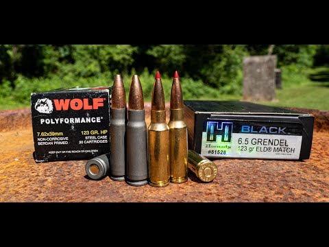 Видео: Руслан рассказывает о 6,5 Грендель простыми словами! Через тернии интернета