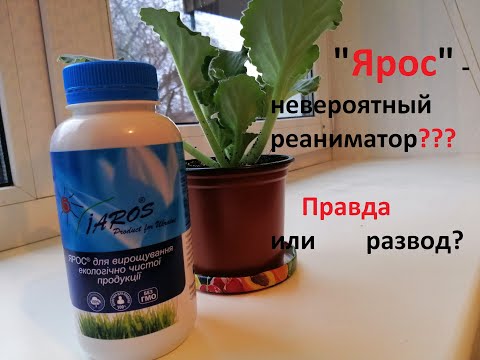 Видео: ОБЗОР удобрения "ЯРОС"| СУПЕР ЭФФЕКТ для орхидей, фиалок Тестирование реаниматора растений. Видео №1