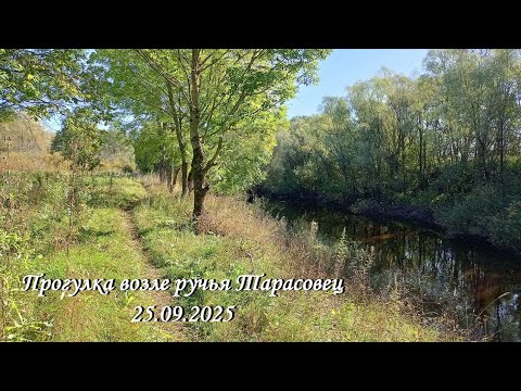 Видео: ПРОГУЛКА ВОЗЛЕ РУЧЬЯ ТАРАСОВЕЦ 25.09.2025 (© съёмка, монтаж Марины Романовой) #великийновгород